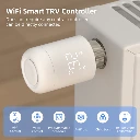 termostat2.webp
