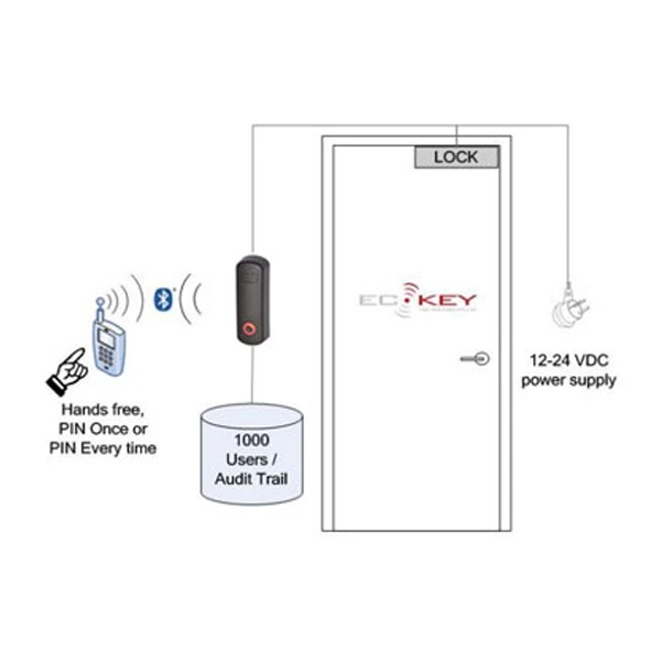 eckey2.webp